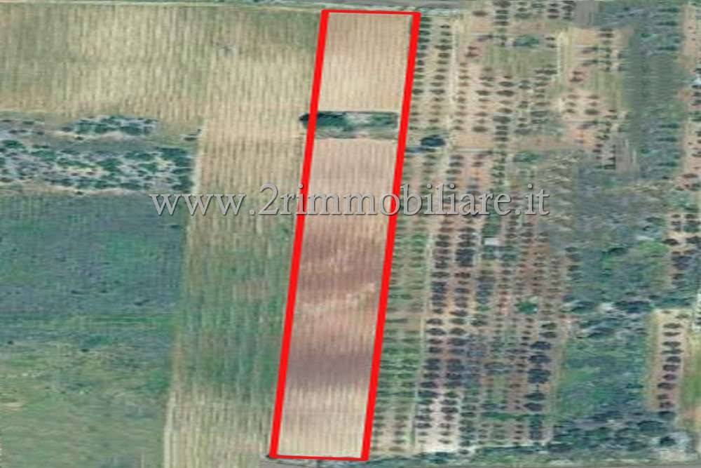 Terreno a Mazara del vallo - Foto 2
