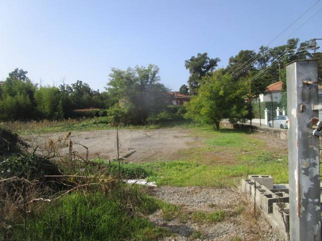 Terreno a Besnate in Via Vincenzo Monti - Foto 4