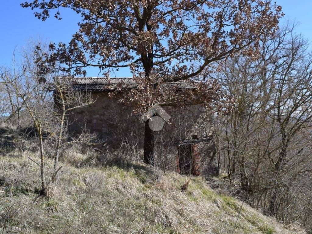 Rustico / casale a Sante marie in LOCALITA' BOCCABELLA - Foto 3