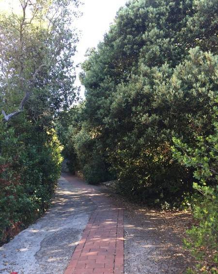 Casa indipendente a Ameglia - Foto 2