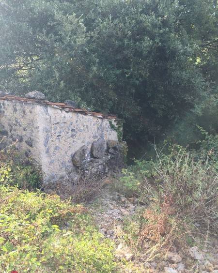 Casa indipendente a Ameglia - Foto 4