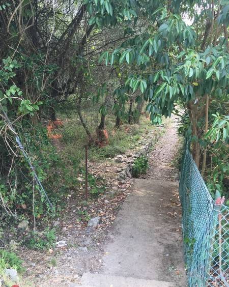 Casa indipendente a Ameglia - Foto 5