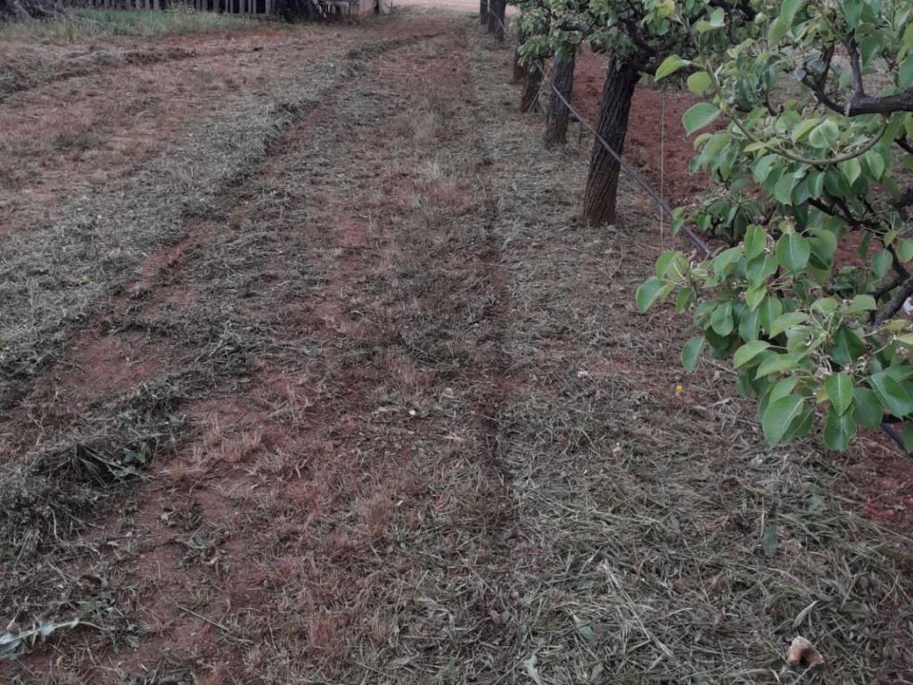 Terreno a Sannicola in Contrada Li Santi - Foto 3
