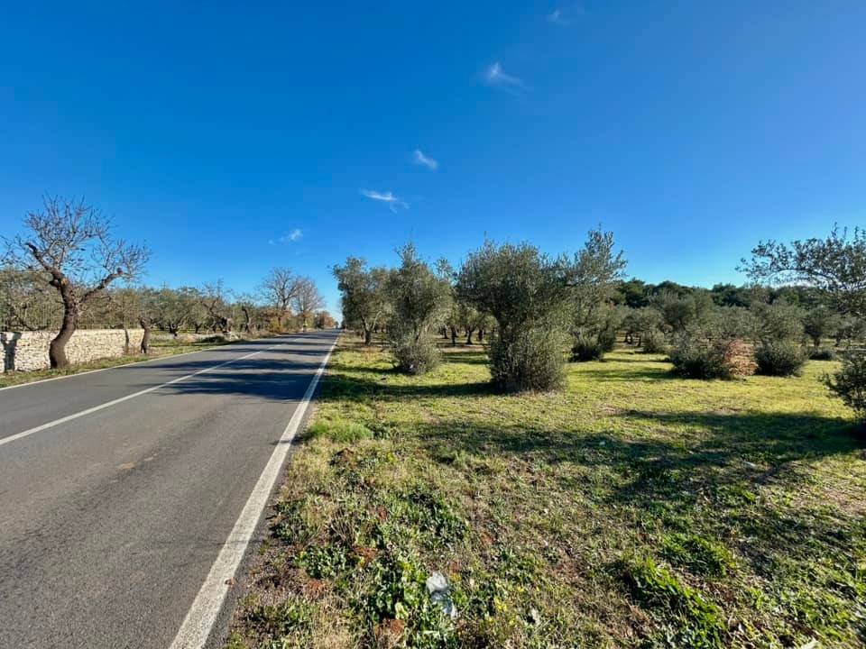 Terreno a Altamura in Strada Provinciale Altamura-Cassano delle Murge - Foto 4