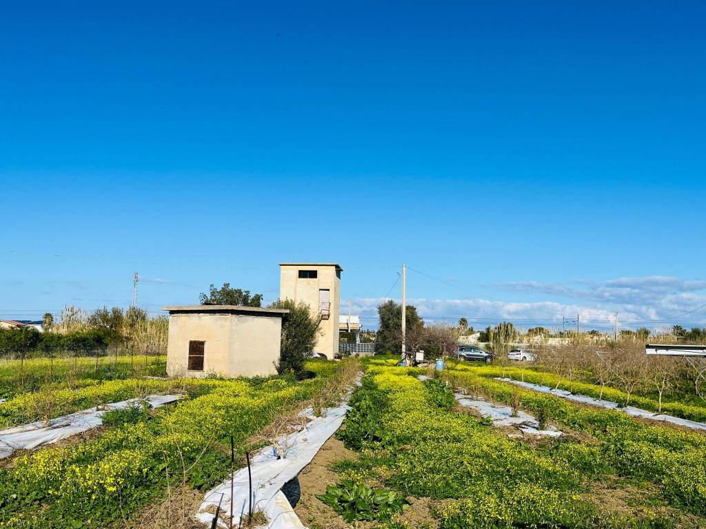 Terreno a Campofelice di roccella in SS113 - Foto 5