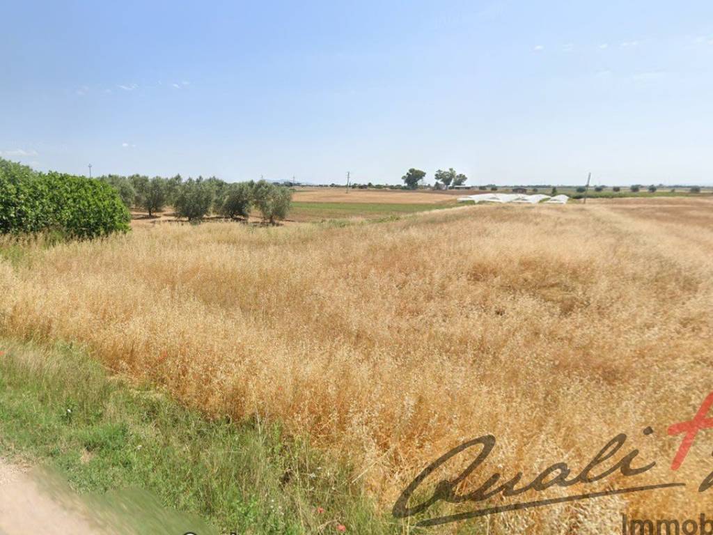 Terreno a Montalto di castro in Strada Querciolare, 20 - Foto 3