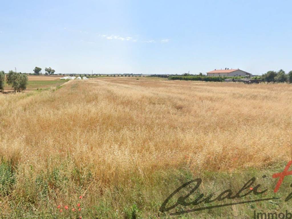 Terreno a Montalto di castro in Strada Querciolare, 20 - Foto 4