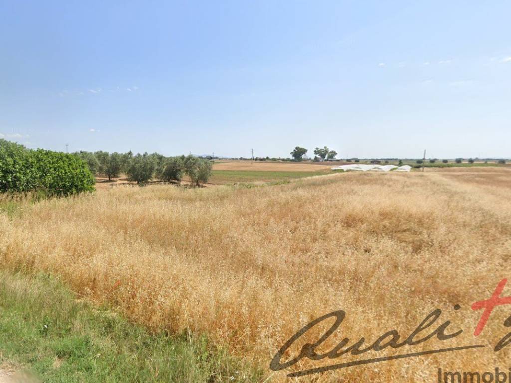 Terreno a Montalto di castro in Strada Querciolare, 20 - Foto 5