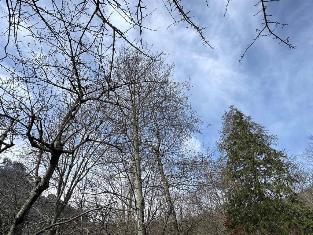 Rustico / casale a Bibbiena in Strada Provinciale Alto Corsalone - Foto 5