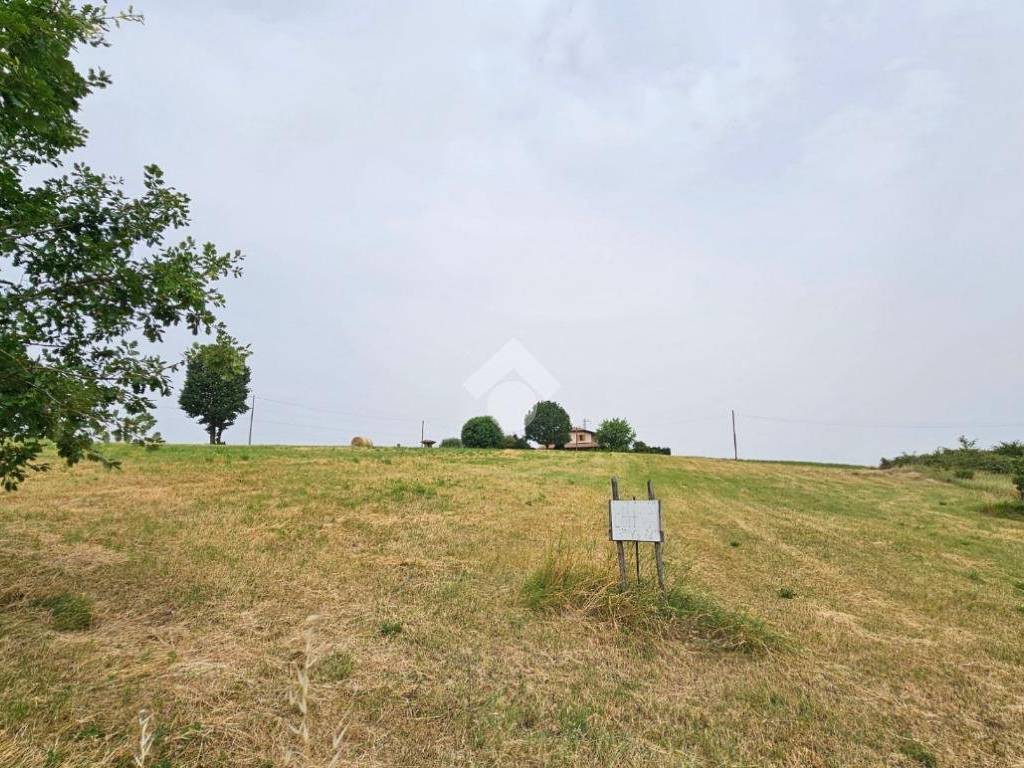 Terreno a Canossa in Via Selvapiana, 43 - Foto 3