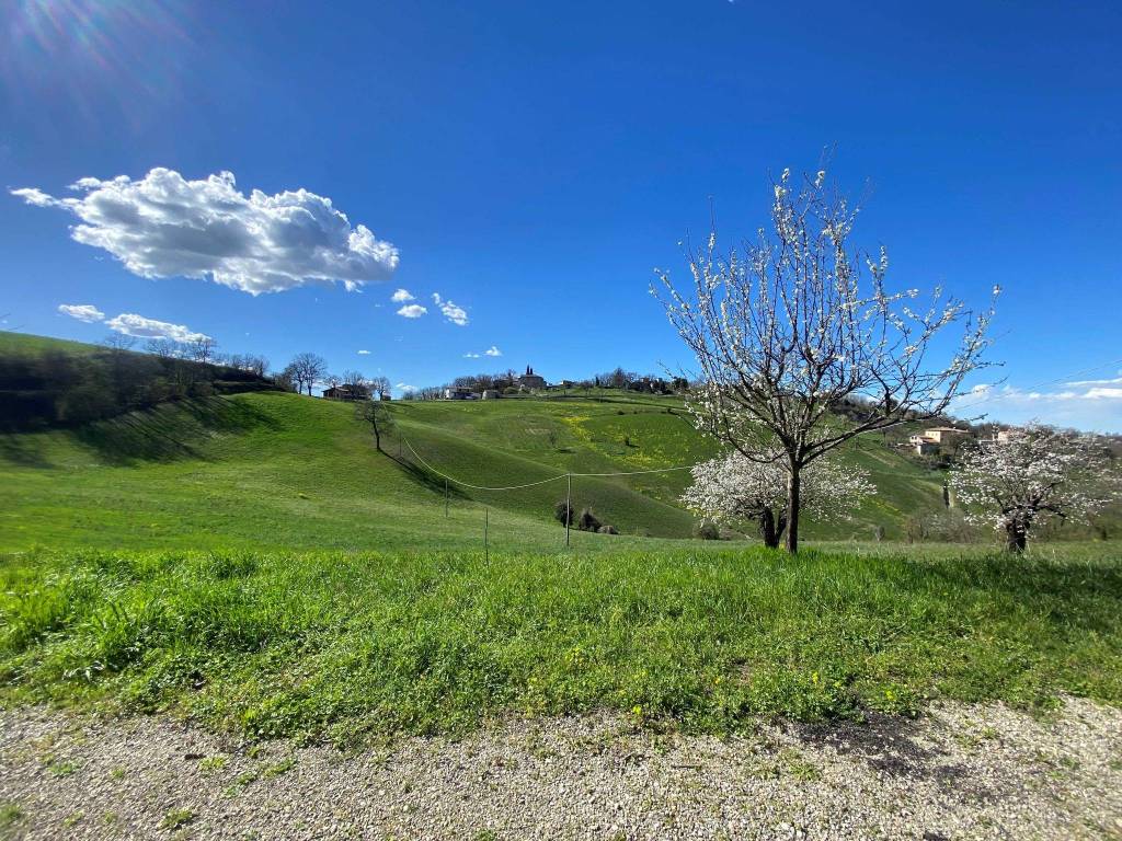 Rustico / casale a Guiglia in Via Castellino, 4084 - Foto 3