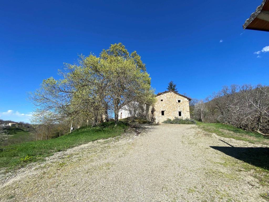 Rustico / casale a Guiglia in Via Castellino, 4084 - Foto 4