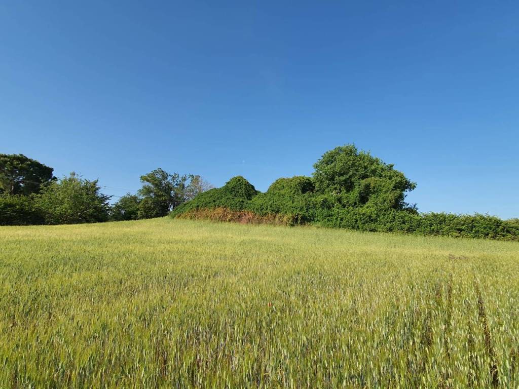 Terreno a Montecosaro - Foto 2