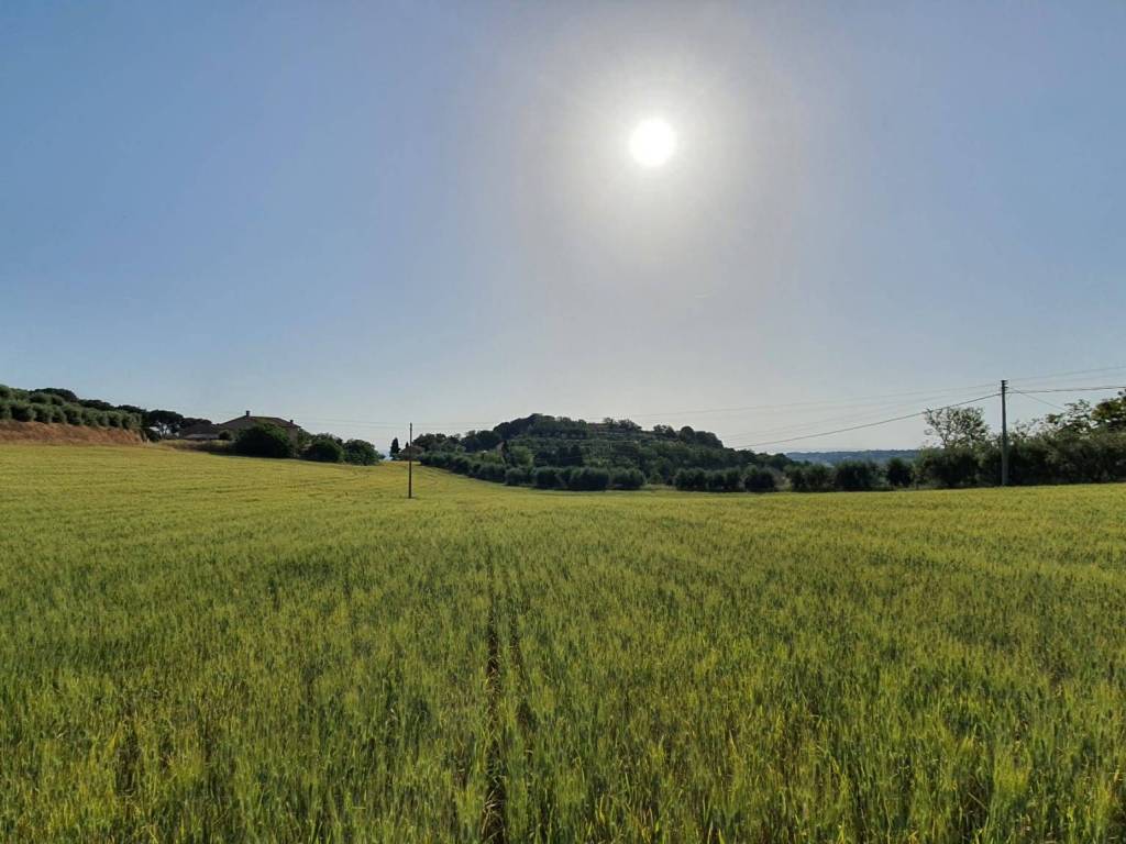 Terreno a Montecosaro - Foto 3