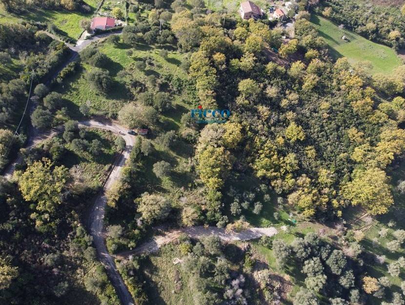 Terreno a Centola in SS447 - Foto 4