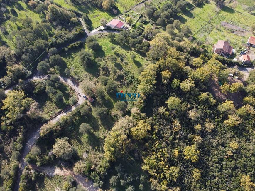 Terreno a Centola in SS447 - Foto 5