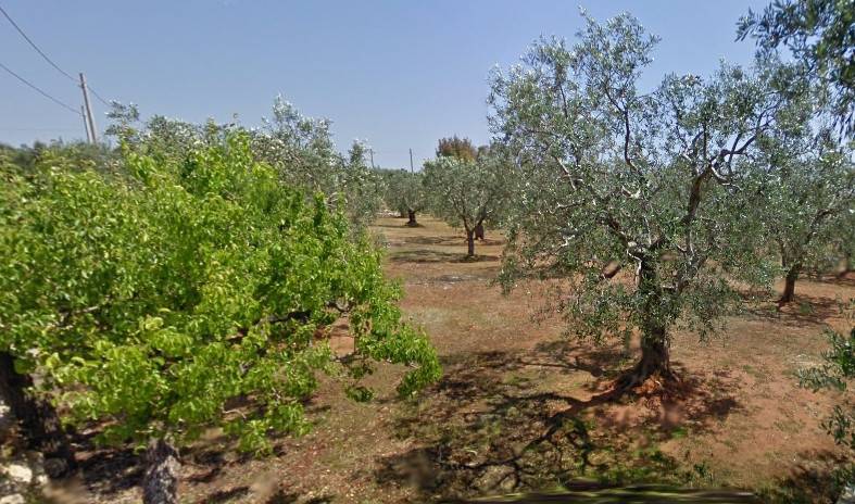 Terreno a Morciano di leuca in Via Nepole - Foto 2