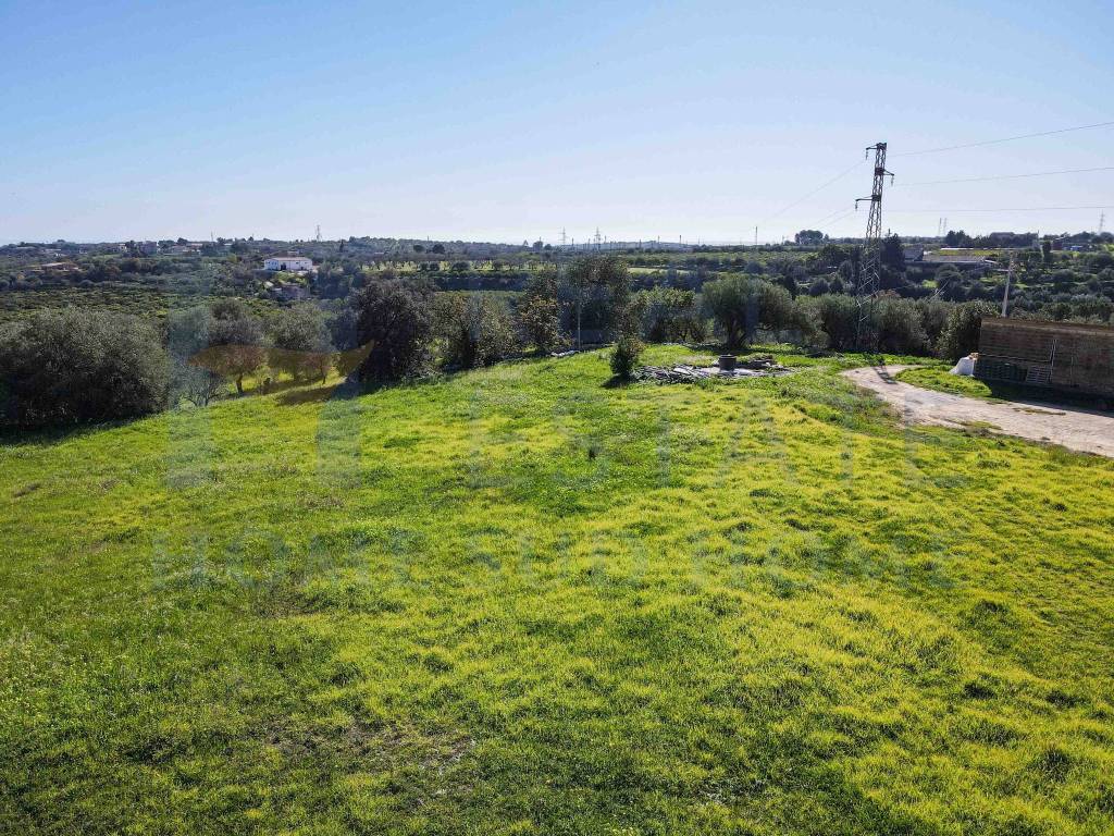 Rustico / casale a Noto in Via Tommaso Fazello, 228 - Foto 3