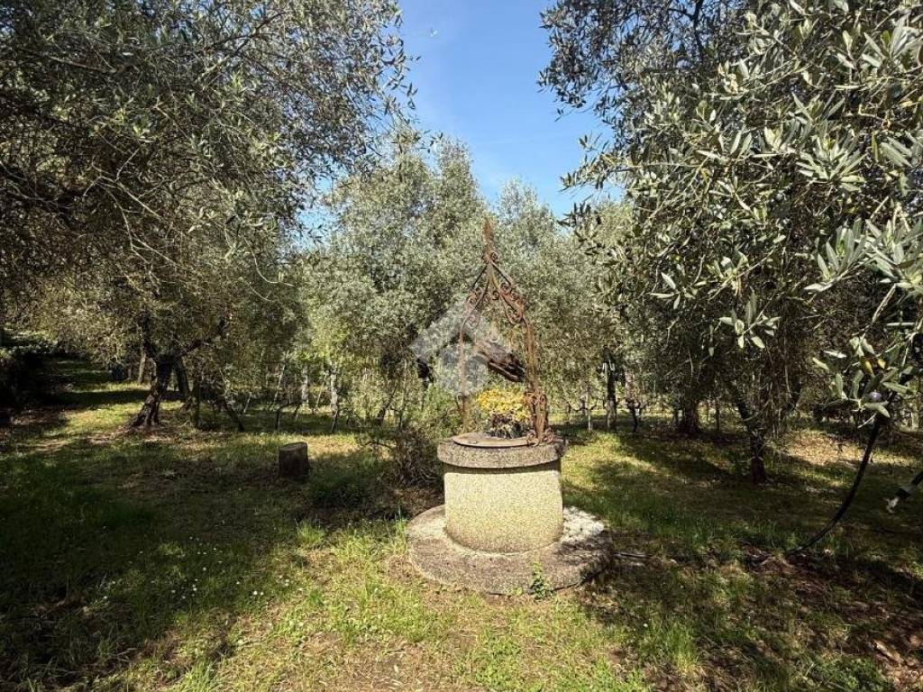 Rustico / casale a Orte in VIA LE GRAZIE - Foto 3