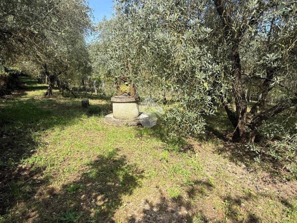 Rustico / casale a Orte in VIA LE GRAZIE - Foto 4