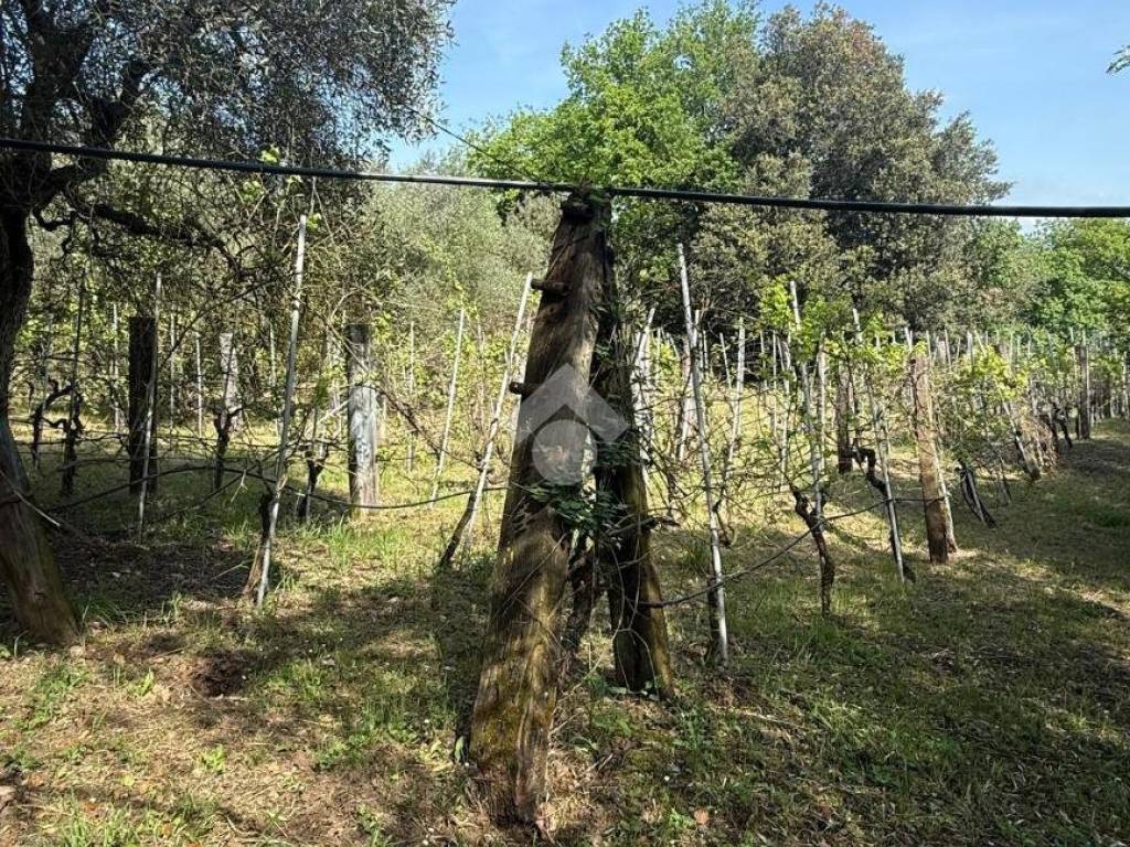 Rustico / casale a Orte in VIA LE GRAZIE - Foto 5