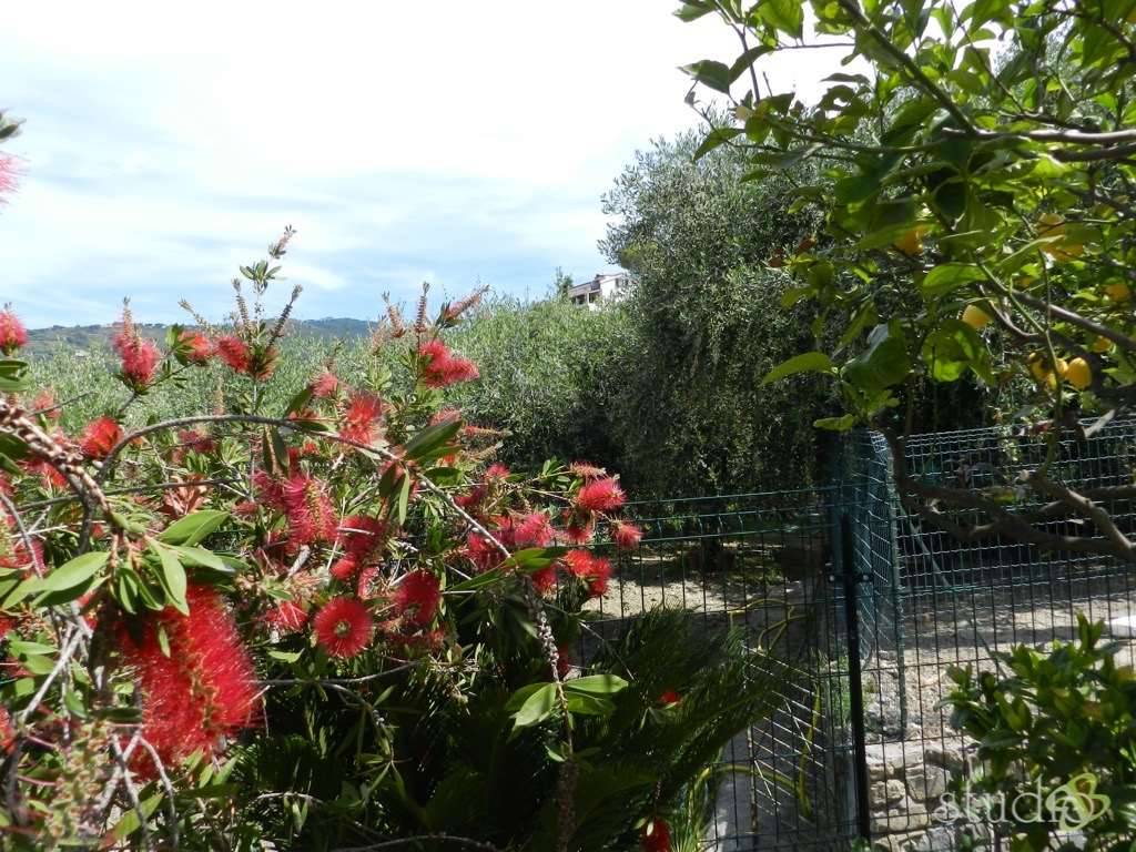 Casa indipendente a Bordighera - Foto 4