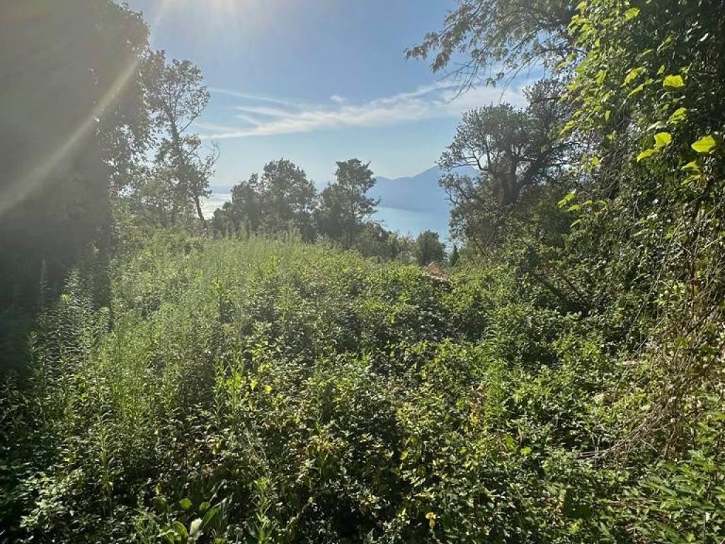 Rustico / casale a San zeno di montagna - Foto 4