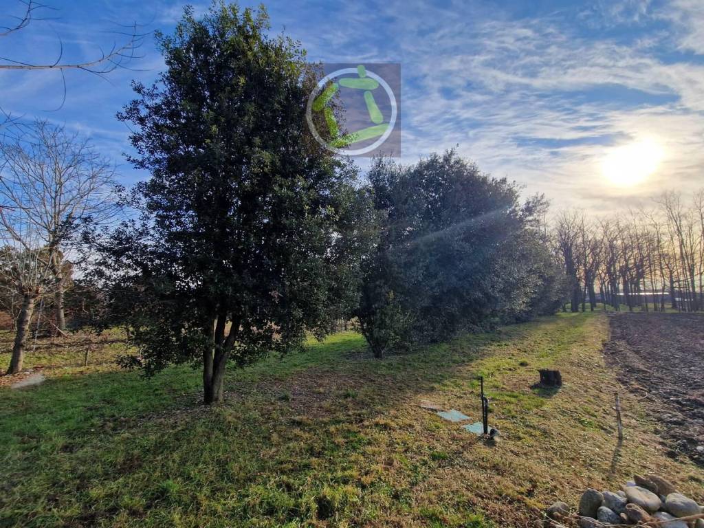 Terreno a Cordenons - Foto 3