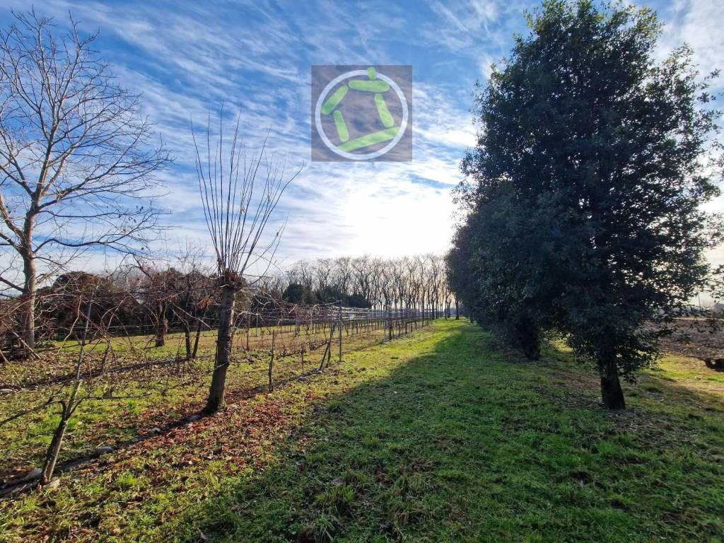 Terreno a Cordenons - Foto 5
