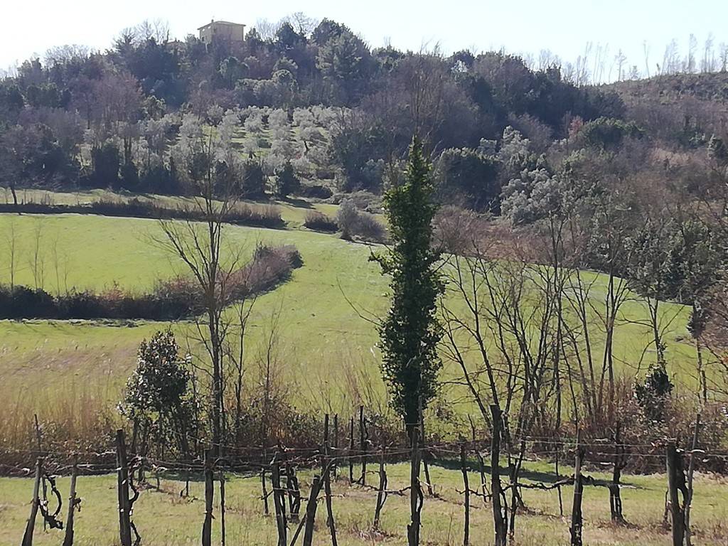 Terreno a Caiazzo in Via Serpara - Foto 2