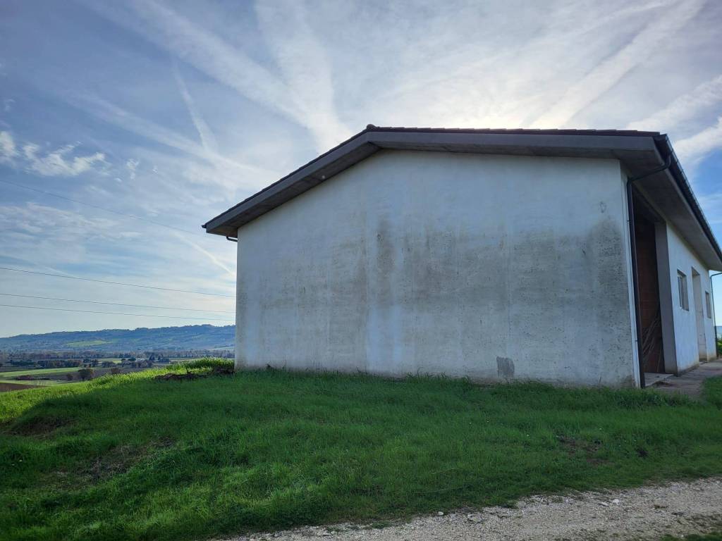 Rustico / casale a Recanati - Foto 5
