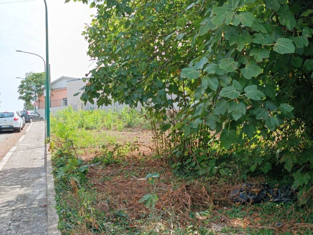 Terreno a Sant'angelo a cupolo - Foto 4