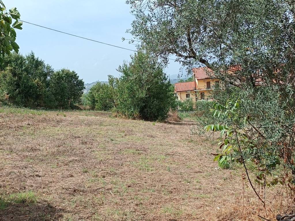 Terreno a Sant'angelo a cupolo - Foto 5
