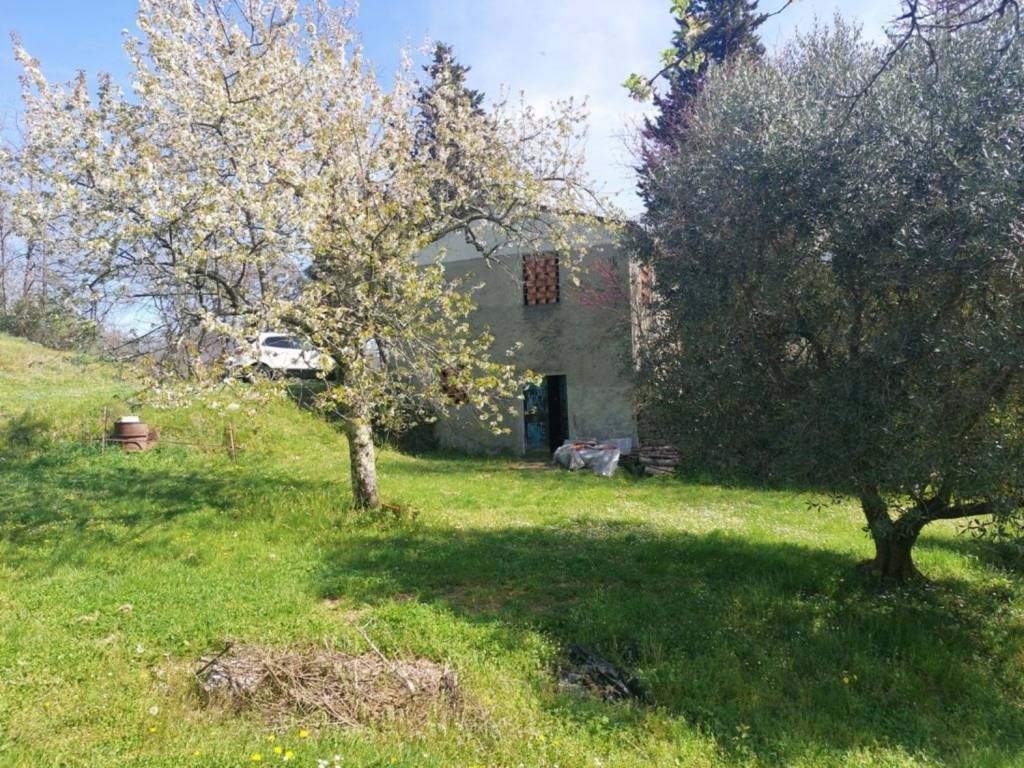 Rustico / casale a Borgo a mozzano - Foto 3