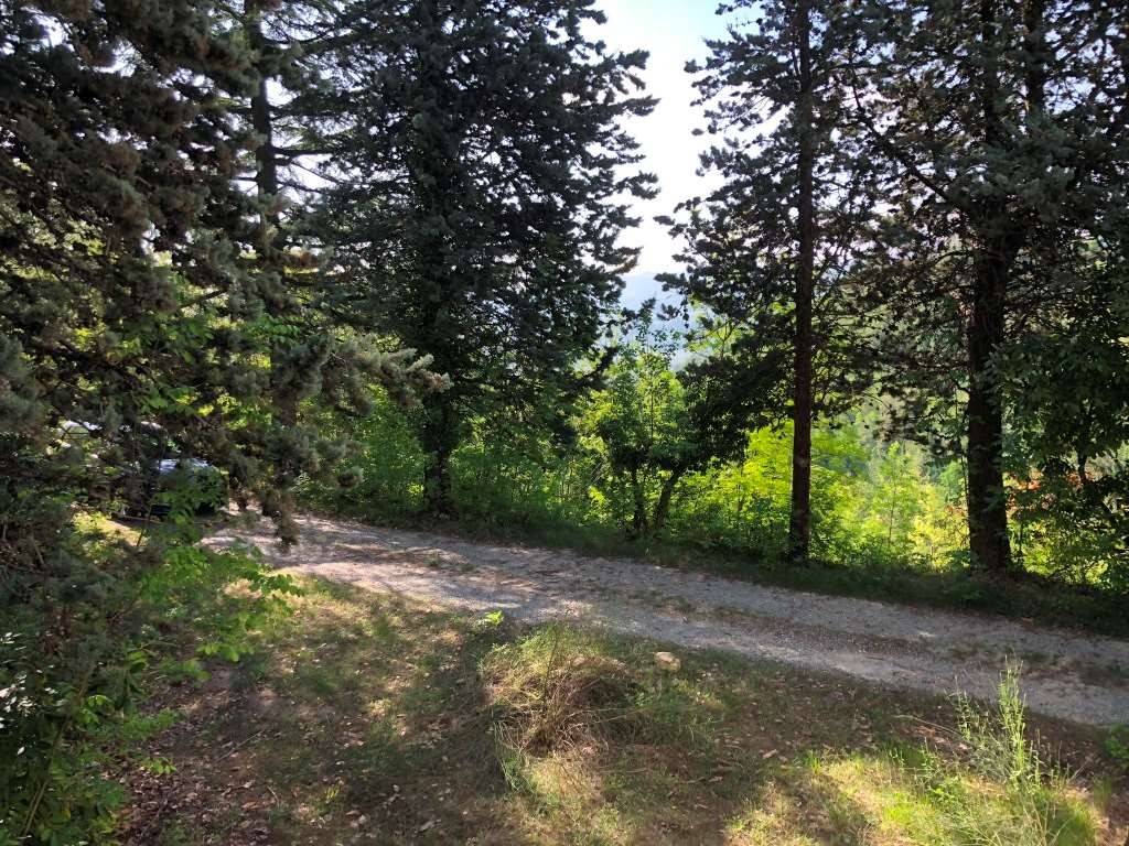 Rustico / casale a Loazzolo - Foto 5