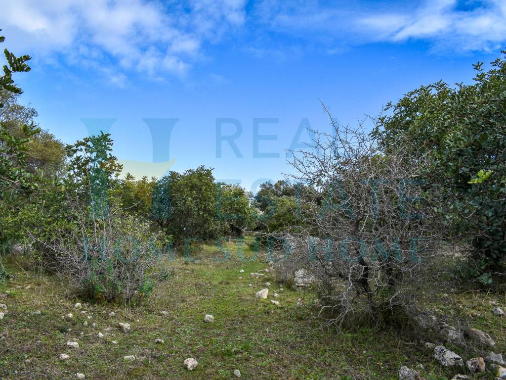 Rustico / casale a Noto in Coda di Lupo - Foto 4