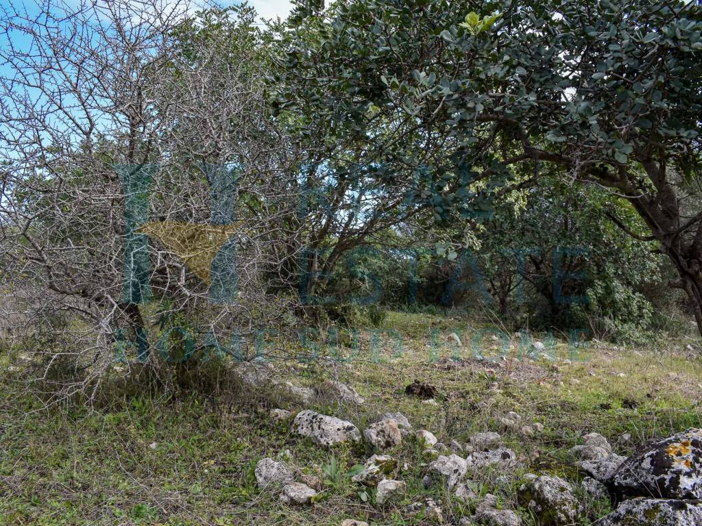 Rustico / casale a Noto in Coda di Lupo - Foto 5