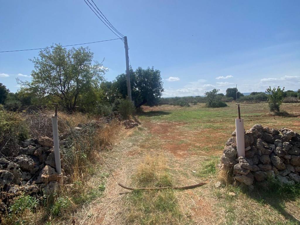 Terreno a Fasano in Contrada Occhio Piccolo - Foto 2