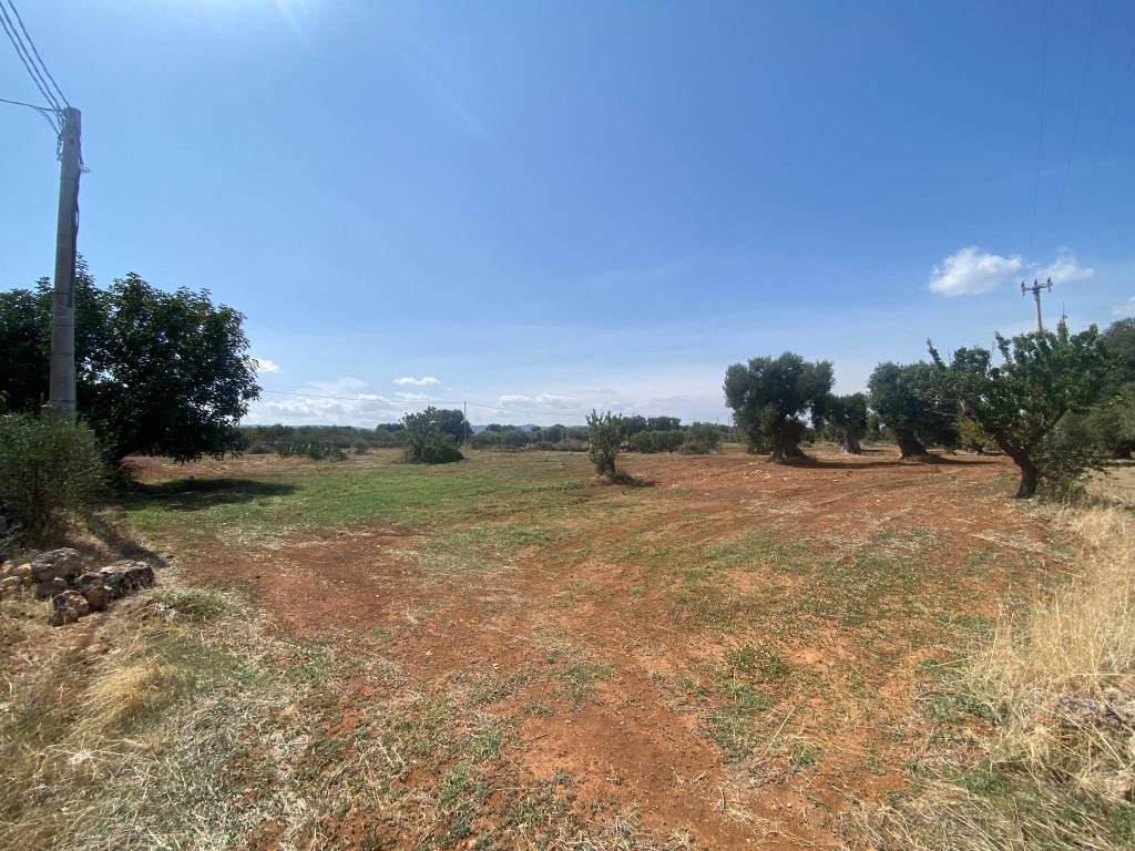Terreno a Fasano in Contrada Occhio Piccolo - Foto 3