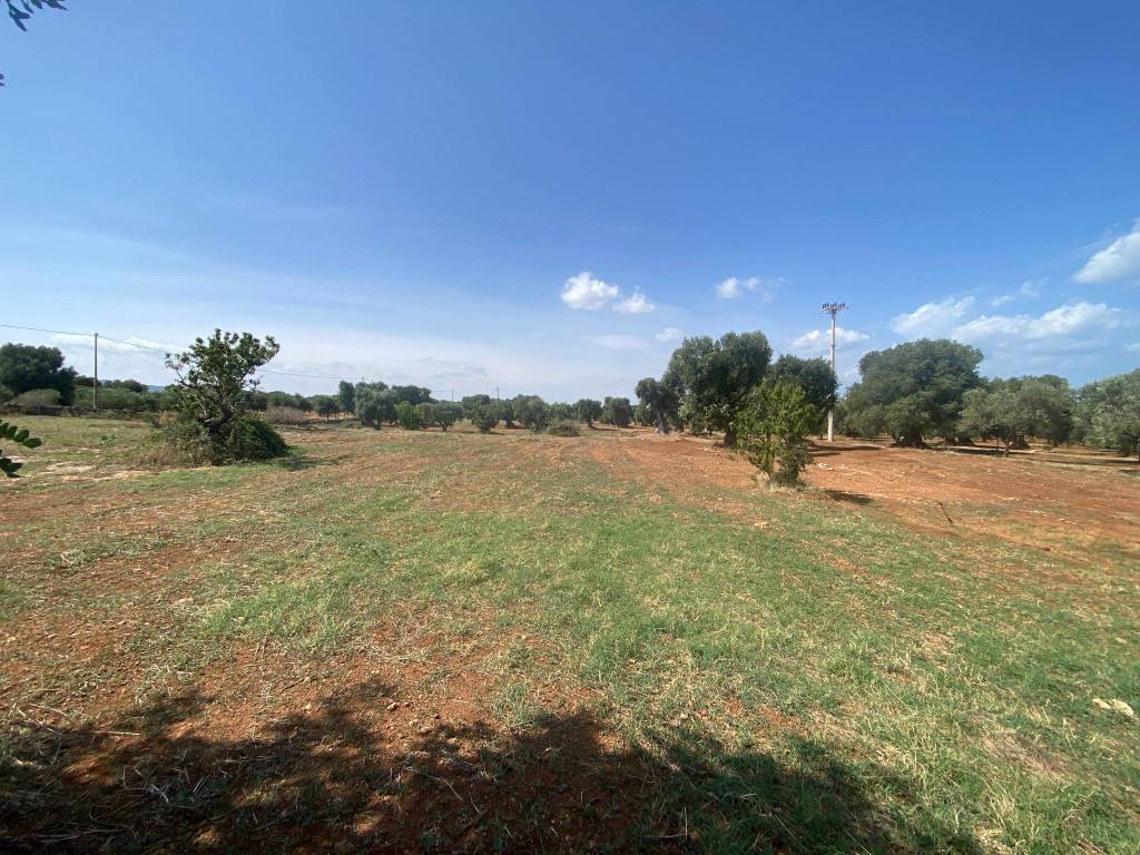 Terreno a Fasano in Contrada Occhio Piccolo - Foto 4