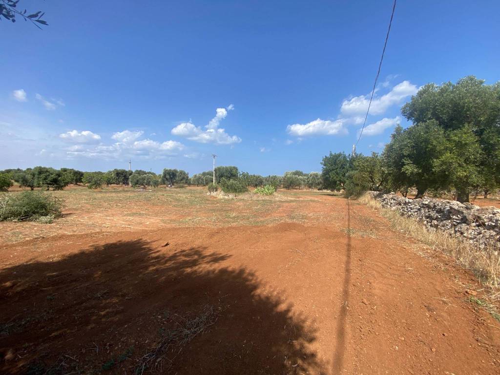 Terreno a Fasano in Contrada Occhio Piccolo - Foto 5