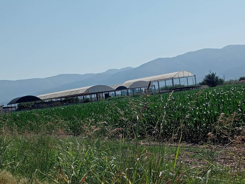Terreno a Pontinia in Strada Migliara 52 Destra, 81 - Foto 2