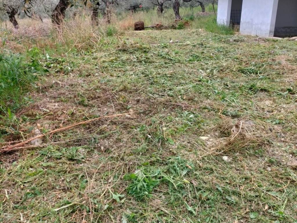 Appartamento a Loreto aprutino - Foto 4