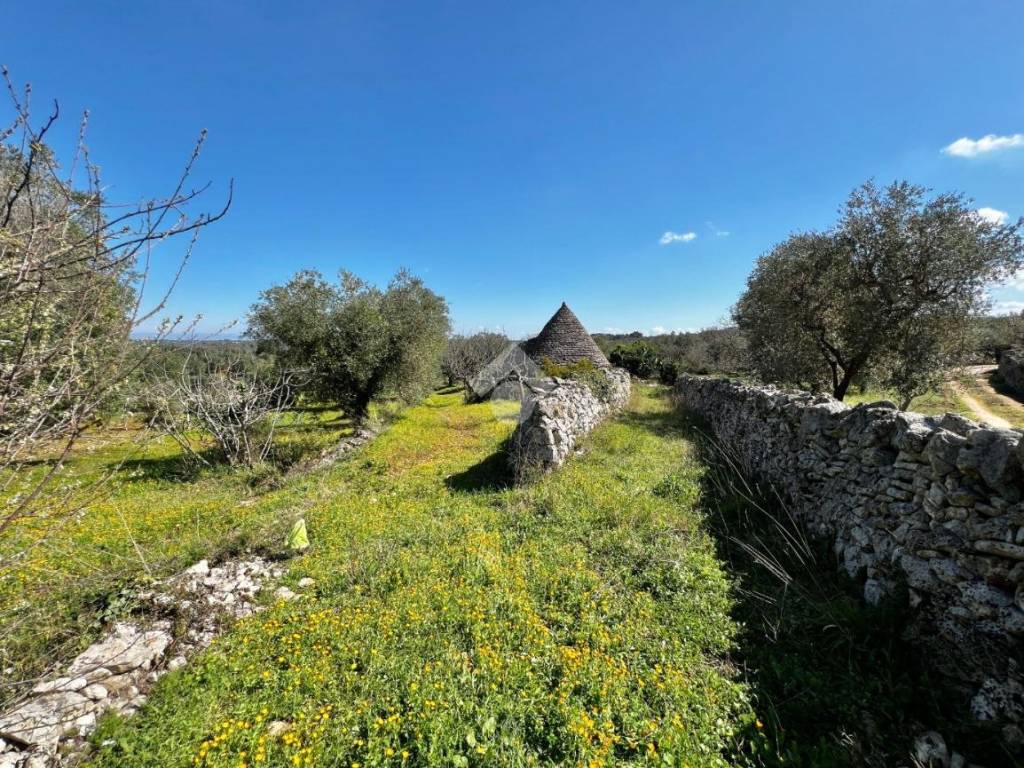 Rustico / casale a Ceglie messapica in Contrada Spasimato - Foto 4