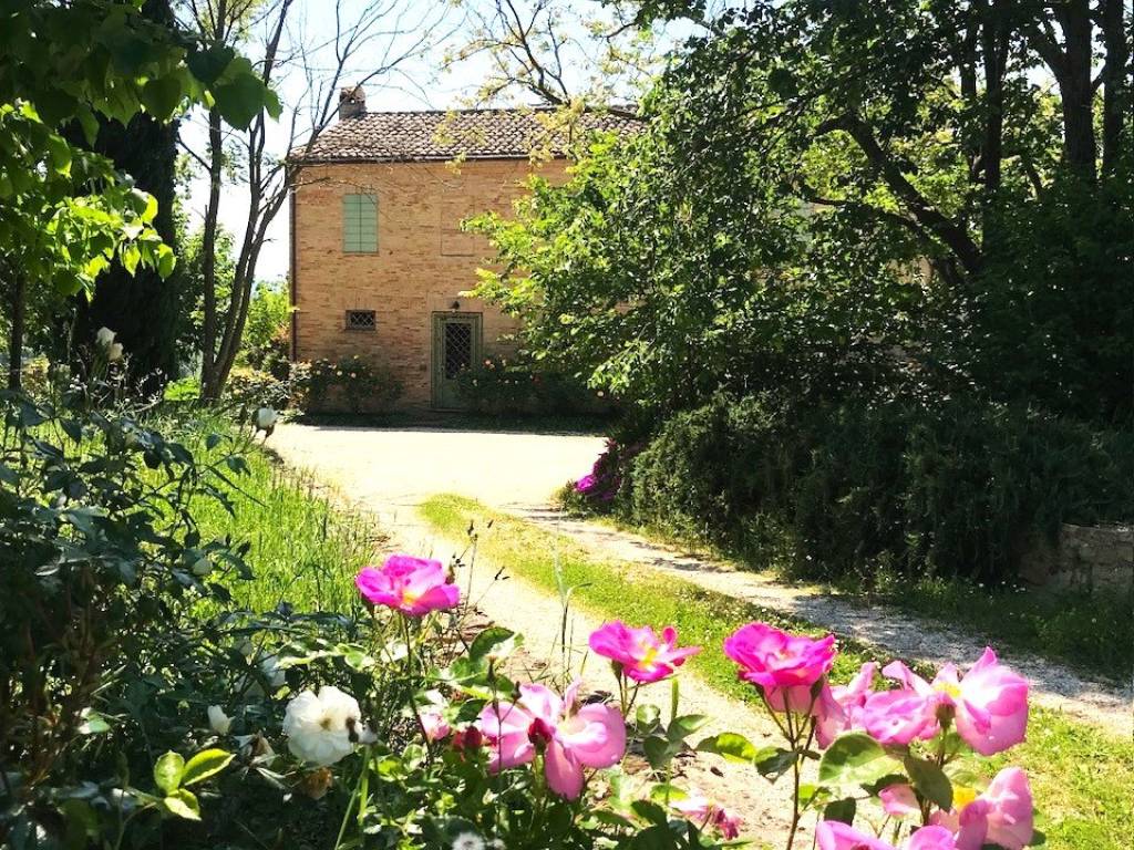 Rustico / casale a Fano in Località Carignano, 39 - Foto 4