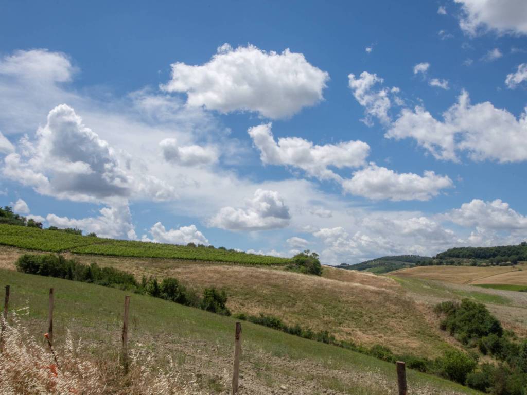 Rustico / casale a Campiglia marittima in CAMPIGLIA MARITTIMA - Foto 2