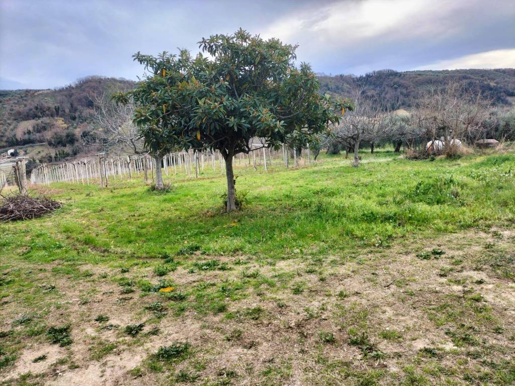 Rustico / casale a Miglianico in Strada Comunale delle Pratole - Foto 4