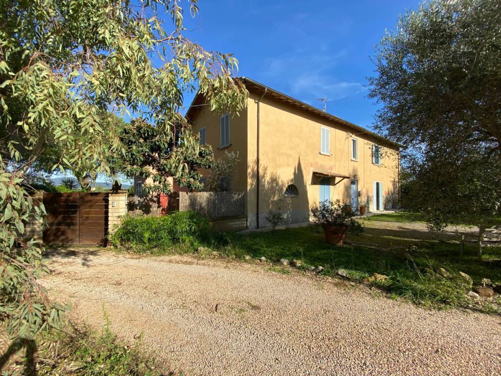 Rustico / casale a Capalbio in Località Selva Nera - Foto 2