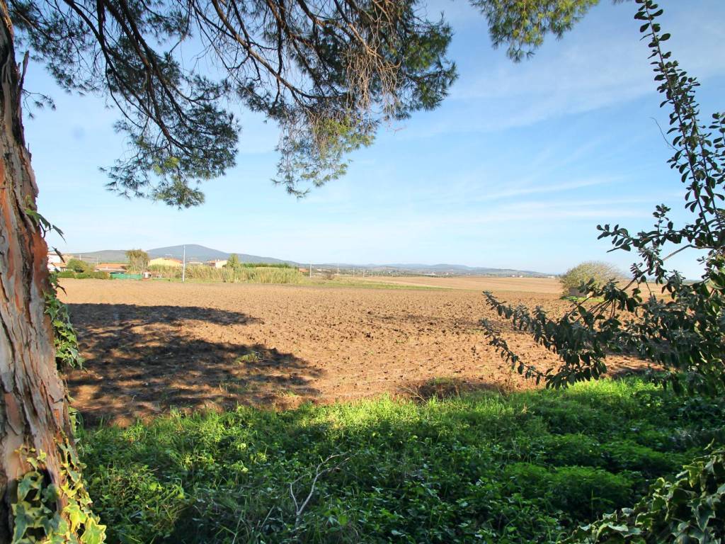 Rustico / casale a Capalbio in Località Selva Nera - Foto 4