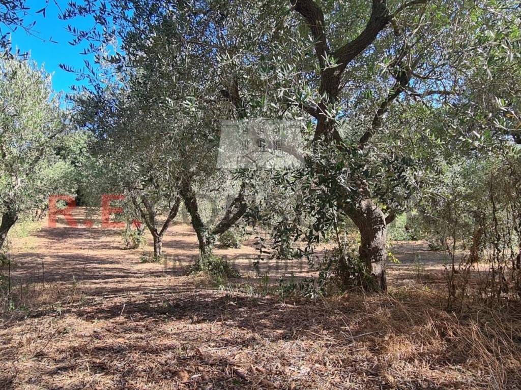 Villa a Martina franca in SP49, 108 - Foto 3